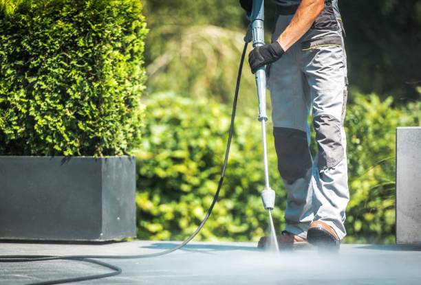 Animal Enclosure Cleaning in Pinckneyville, IL